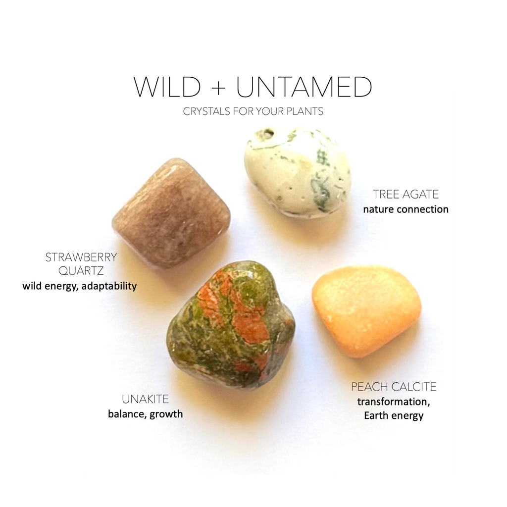 WILD + UNTAMED GARDEN SET- Crystals for Plants Rox Box