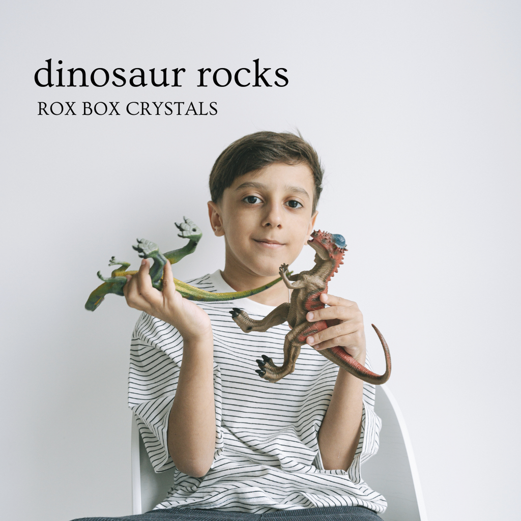 DINOSAUR ROCKS - Kids Crystal Sets - Rox Box - rock collection