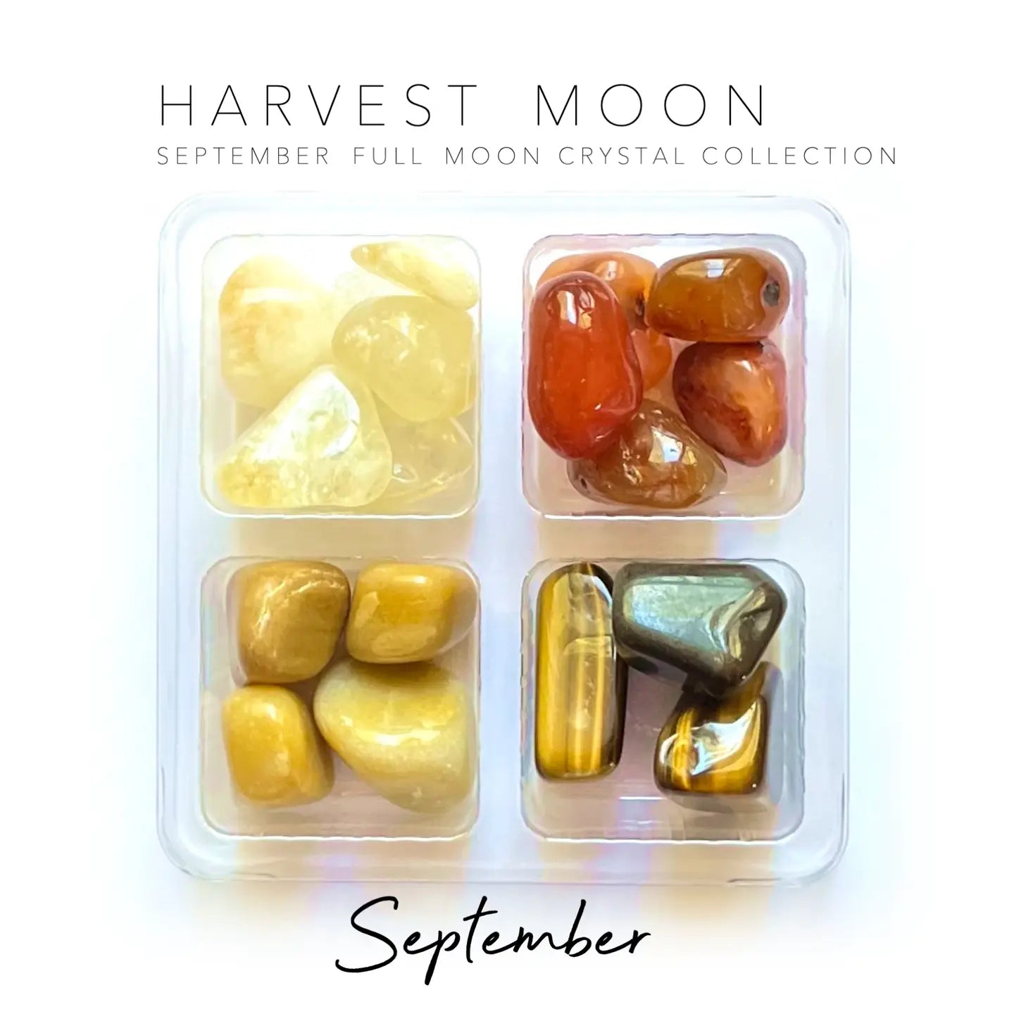 SEPTEMBER FULL MOON - HARVEST MOON Rox Box - crystal set